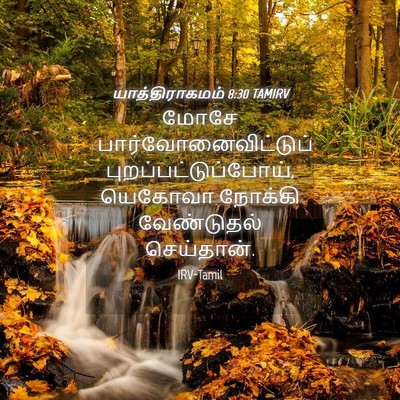 Picture 04 - யாத்திராகமம் 8:30 TAMIRV - மோசே - Bible Verse Picture