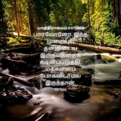 Picture 04 - யாத்திராகமம் 8:32 TAMIRV - பார்வோனோ, இந்த - Bible Verse Picture