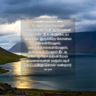 Picture 04 - யாத்திராகமம் 8:5 TAMIRV - மேலும் யெகோவா - Bible Verse Picture