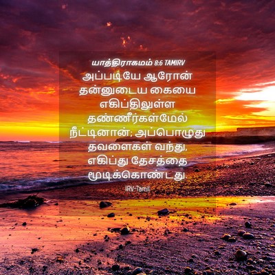 Picture 04 - யாத்திராகமம் 8:6 TAMIRV - அப்படியே ஆரோன் - Bible Verse Picture