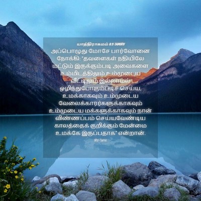 Picture 04 - யாத்திராகமம் 8:9 TAMIRV - அப்பொழுது மோசே - Bible Verse Picture