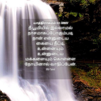 Picture 04 - யாத்திராகமம் 9:15 TAMIRV - நீ பூமியில் - Bible Verse Picture
