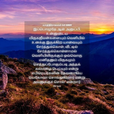 Picture 04 - யாத்திராகமம் 9:19 TAMIRV - இப்பொழுதே ஆள் - Bible Verse Picture