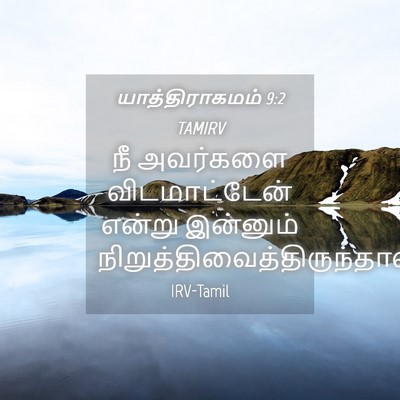 Picture 04 - யாத்திராகமம் 9:2 TAMIRV - நீ அவர்களை - Bible Verse Picture