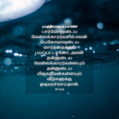 Picture 04 - யாத்திராகமம் 9:20 TAMIRV - பார்வோனுடைய - Bible Verse Picture