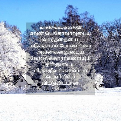Picture 04 - யாத்திராகமம் 9:21 TAMIRV - எவன் யெகோவாவுடைய - Bible Verse Picture