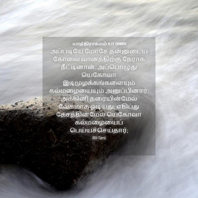 Picture 04 - யாத்திராகமம் 9:23 TAMIRV - அப்படியே மோசே - Bible Verse Picture