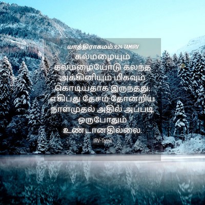 Picture 04 - யாத்திராகமம் 9:24 TAMIRV - கல்மழையும் - Bible Verse Picture