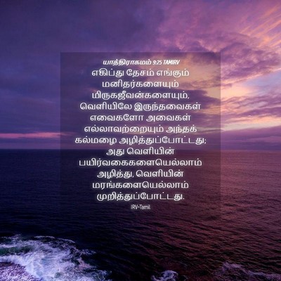 Picture 04 - யாத்திராகமம் 9:25 TAMIRV - எகிப்து தேசம் - Bible Verse Picture