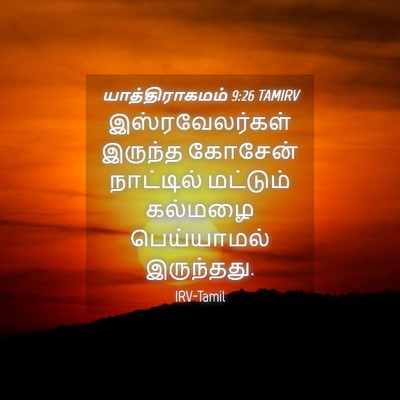 Picture 04 - யாத்திராகமம் 9:26 TAMIRV - இஸ்ரவேலர்கள் - Bible Verse Picture