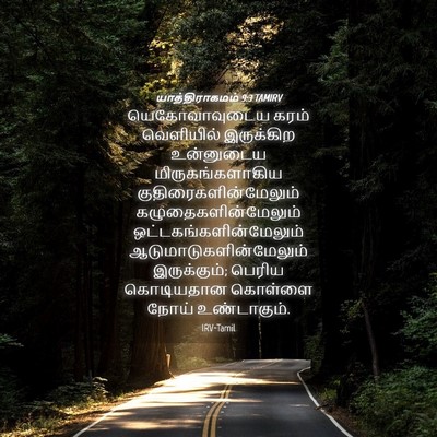 Picture 04 - யாத்திராகமம் 9:3 TAMIRV - யெகோவாவுடைய கரம் - Bible Verse Picture