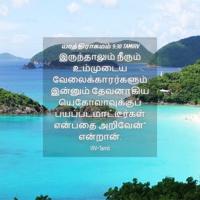 Picture 04 - யாத்திராகமம் 9:30 TAMIRV - இருந்தாலும் - Bible Verse Picture