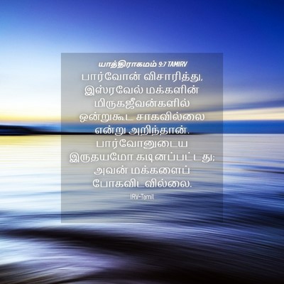 Picture 04 - யாத்திராகமம் 9:7 TAMIRV - பார்வோன் - Bible Verse Picture