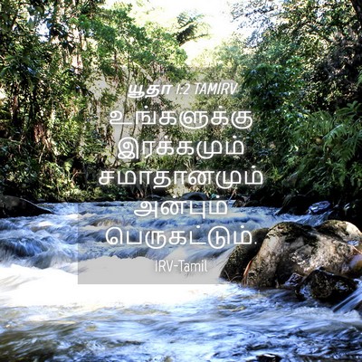 Picture 04 - யூதா 1:2 TAMIRV - உங்களுக்கு - Bible Verse Picture