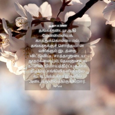 Picture 04 - யூதா 1:6 TAMIRV - தங்களுடைய ஆதி - Bible Verse Picture