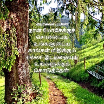 Picture 04 - யோசுவா 1:3 TAMIRV - நான் மோசேக்குச் - Bible Verse Picture