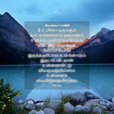 Picture 04 - யோசுவா 1:5 TAMIRV - நீ - Bible Verse Picture