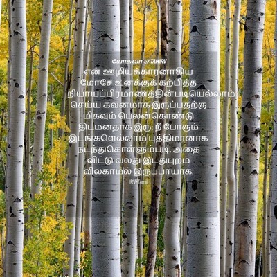 Picture 04 - யோசுவா 1:7 TAMIRV - என் - Bible Verse Picture