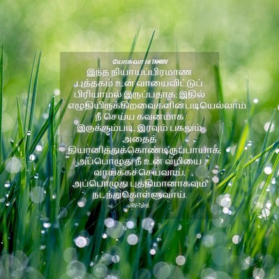 Picture 04 - யோசுவா 1:8 TAMIRV - இந்த - Bible Verse Picture