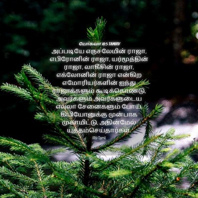 Picture 04 - யோசுவா 10:5 TAMIRV - அப்படியே - Bible Verse Picture