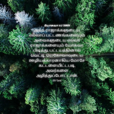 Picture 04 - யோசுவா 11:12 TAMIRV - அந்த ராஜாக்களுடைய - Bible Verse Picture