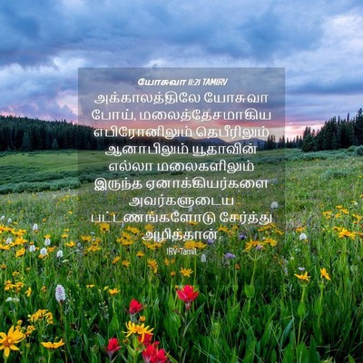 Picture 04 - யோசுவா 11:21 TAMIRV - அக்காலத்திலே - Bible Verse Picture