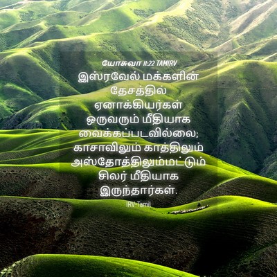 Picture 04 - யோசுவா 11:22 TAMIRV - இஸ்ரவேல் மக்களின் - Bible Verse Picture