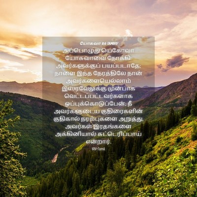 Picture 04 - யோசுவா 11:6 TAMIRV - அப்பொழுது யெகோவா - Bible Verse Picture