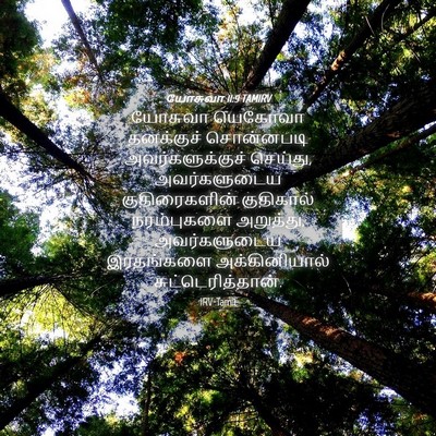 Picture 04 - யோசுவா 11:9 TAMIRV - யோசுவா யெகோவா - Bible Verse Picture