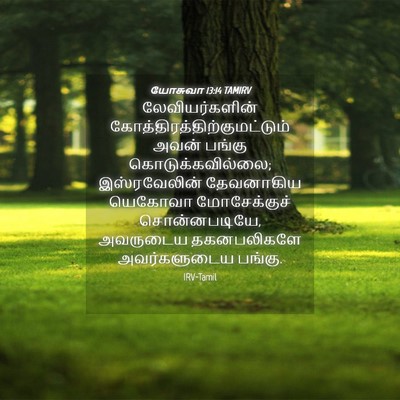 Picture 04 - யோசுவா 13:14 TAMIRV - லேவியர்களின் - Bible Verse Picture