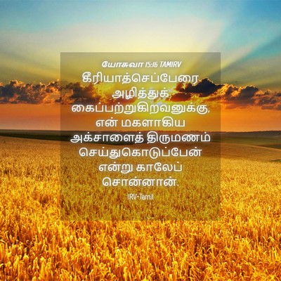 Picture 04 - யோசுவா 15:16 TAMIRV - கீரியாத்செப்பேரை - Bible Verse Picture
