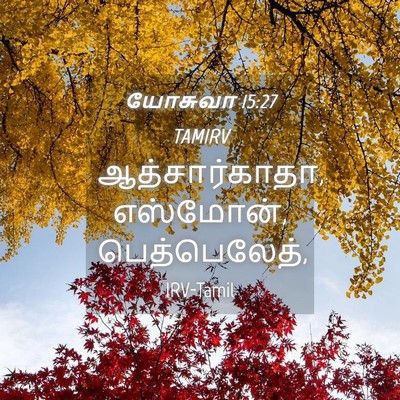 Picture 04 - யோசுவா 15:27 TAMIRV - ஆத்சார்காதா, - Bible Verse Picture