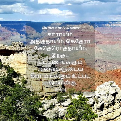 Picture 04 - யோசுவா 15:36 TAMIRV - சாராயீம், - Bible Verse Picture