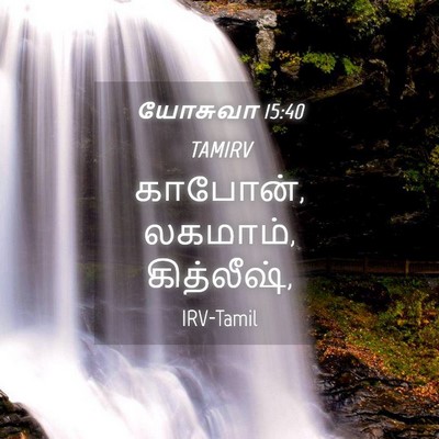 Picture 04 - யோசுவா 15:40 TAMIRV - காபோன், லகமாம், - Bible Verse Picture