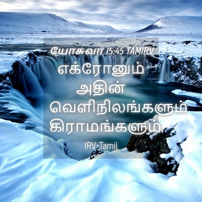 Picture 04 - யோசுவா 15:45 TAMIRV - எக்ரோனும் அதின் - Bible Verse Picture