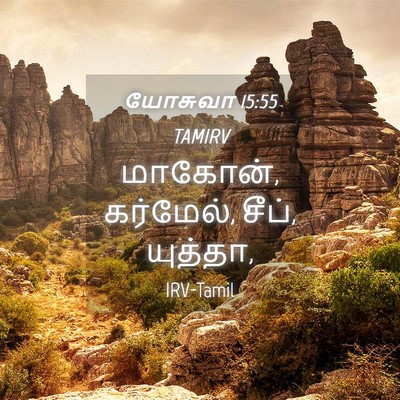Picture 04 - யோசுவா 15:55 TAMIRV - மாகோன், கர்மேல், - Bible Verse Picture