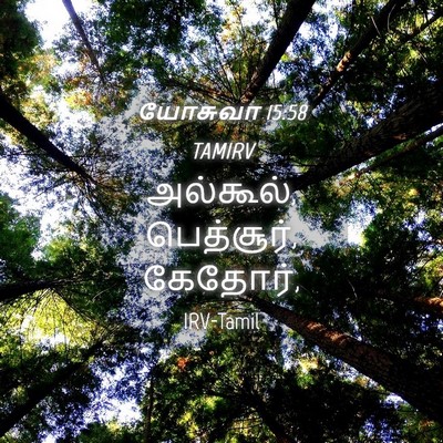 Picture 04 - யோசுவா 15:58 TAMIRV - அல்கூல், பெத்சூர், - Bible Verse Picture