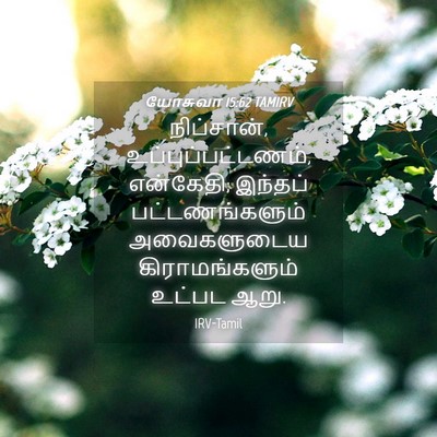 Picture 04 - யோசுவா 15:62 TAMIRV - நிப்சான், - Bible Verse Picture