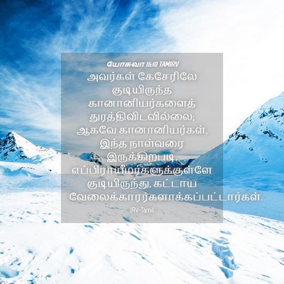 Picture 04 - யோசுவா 16:10 TAMIRV - அவர்கள் கேசேரிலே - Bible Verse Picture
