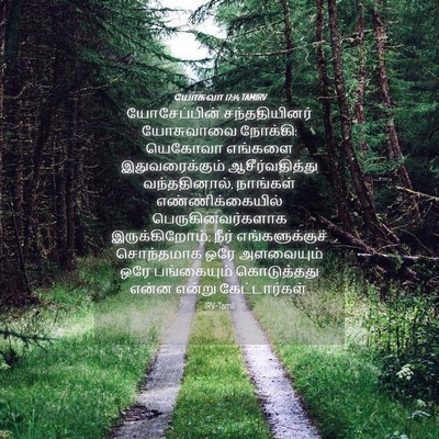 Picture 04 - யோசுவா 17:14 TAMIRV - யோசேப்பின் - Bible Verse Picture