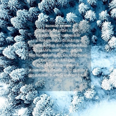 Picture 04 - யோசுவா 17:16 TAMIRV - அதற்கு யோசேப்பின் - Bible Verse Picture