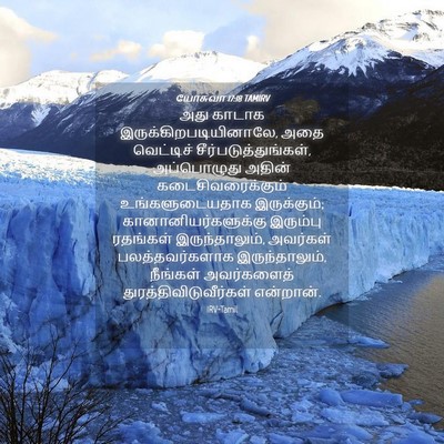Picture 04 - யோசுவா 17:18 TAMIRV - அது காடாக - Bible Verse Picture