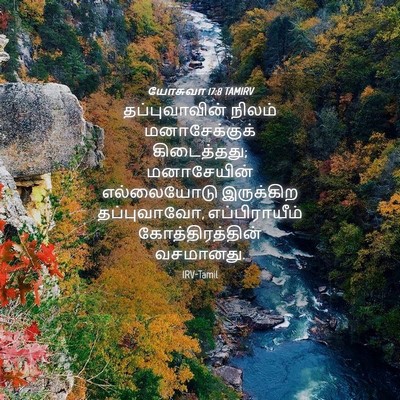 Picture 04 - யோசுவா 17:8 TAMIRV - தப்புவாவின் நிலம் - Bible Verse Picture