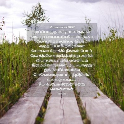 Picture 04 - யோசுவா 18:8 TAMIRV - அப்பொழுது அந்த - Bible Verse Picture