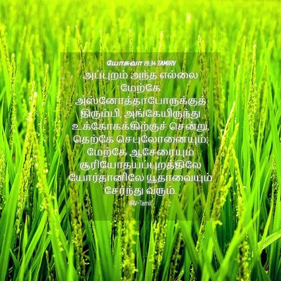 Picture 04 - யோசுவா 19:34 TAMIRV - அப்புறம் அந்த - Bible Verse Picture