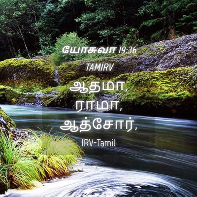 Picture 04 - யோசுவா 19:36 TAMIRV - ஆதமா, ராமா, - Bible Verse Picture