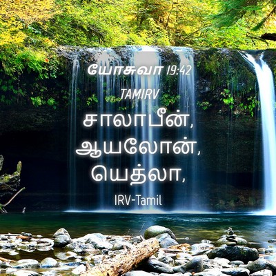 Picture 04 - யோசுவா 19:42 TAMIRV - சாலாபீன், ஆயலோன், - Bible Verse Picture
