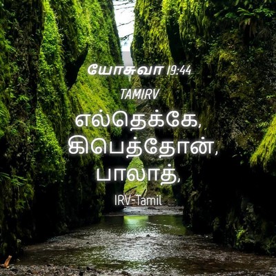 Picture 04 - யோசுவா 19:44 TAMIRV - எல்தெக்கே, - Bible Verse Picture