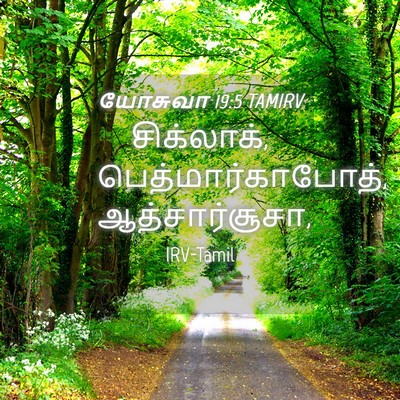 Picture 04 - யோசுவா 19:5 TAMIRV - சிக்லாக், - Bible Verse Picture