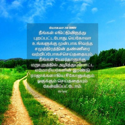 Picture 04 - யோசுவா 2:10 TAMIRV - நீங்கள் - Bible Verse Picture